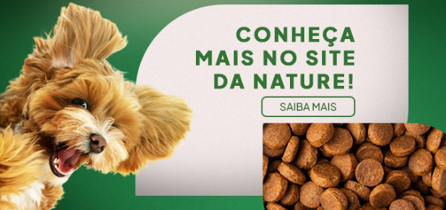 Gerador de artes
