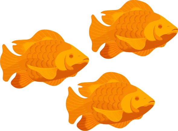 Peixes