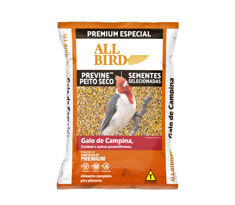 All Bird Galo de Campina