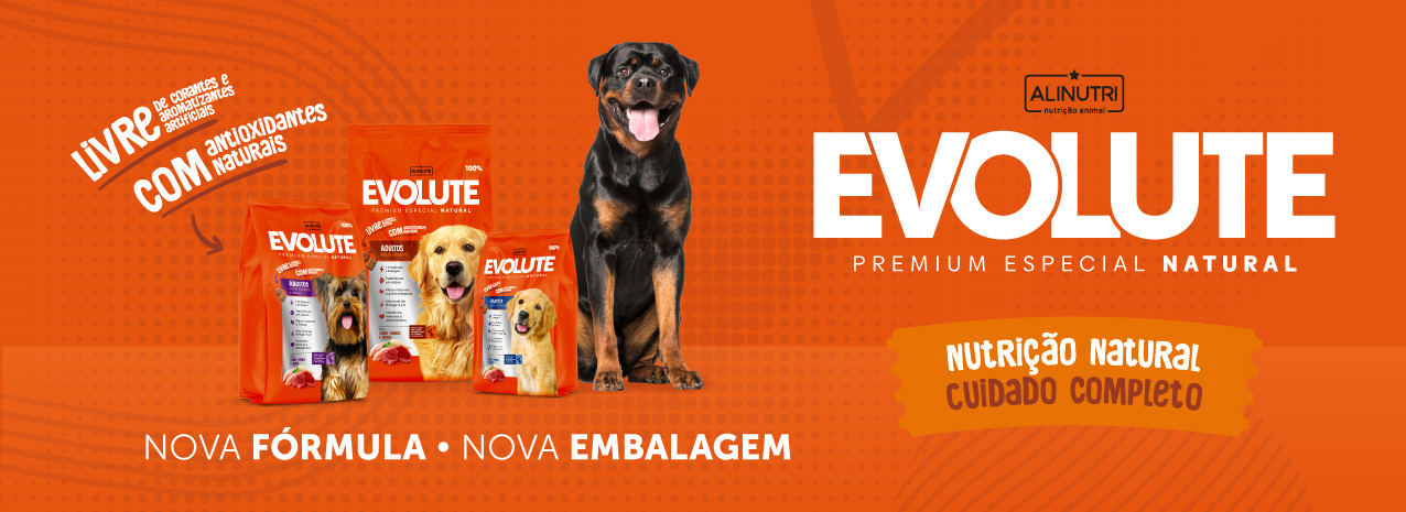 Evolute