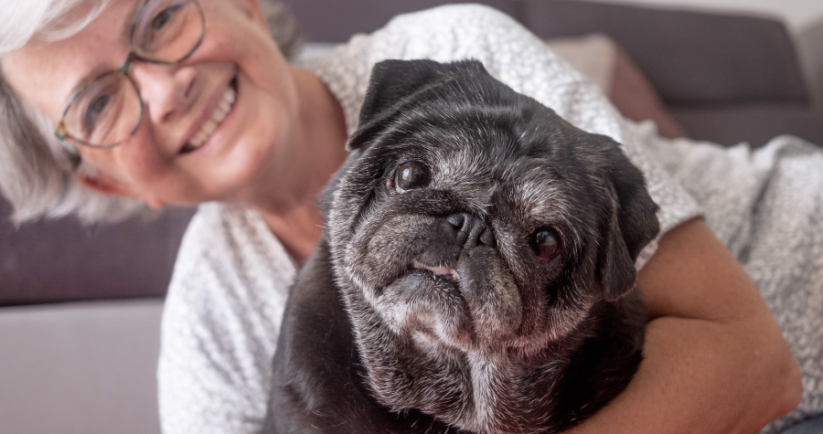 Cães idosos: como a nutrição certa pode fazer toda a diferença