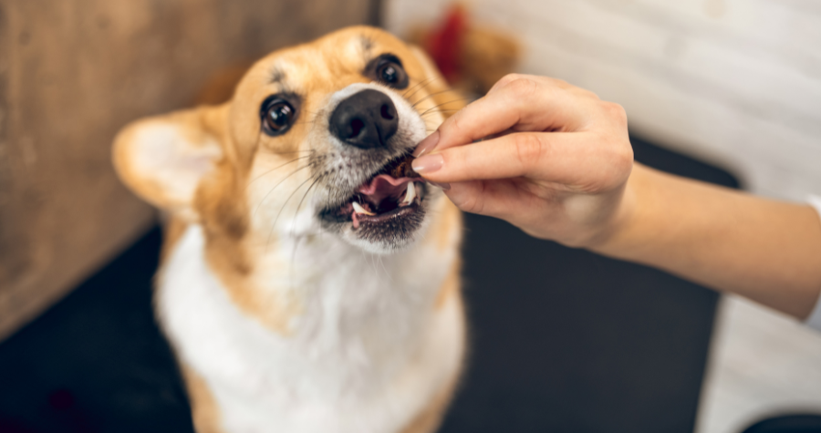 Saiba como a alimentação está relacionada à saúde bucal