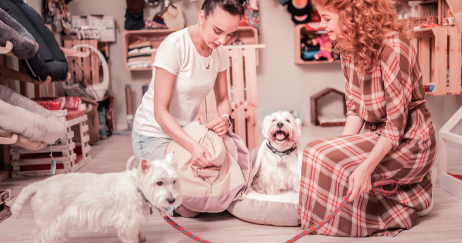 Educação do cliente: transforme dúvidas em oportunidades de vendas