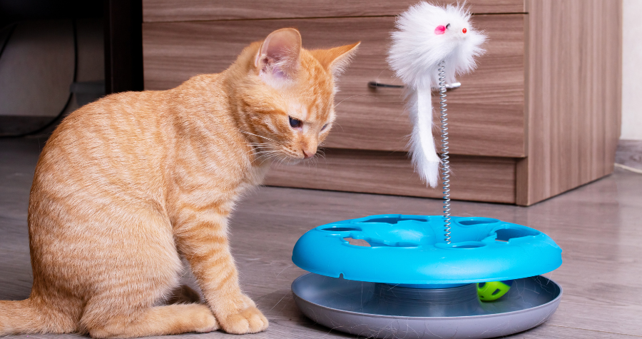 Design sem nome 11 1