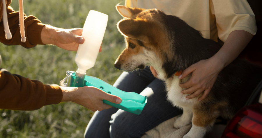 Design sem nome 12 1