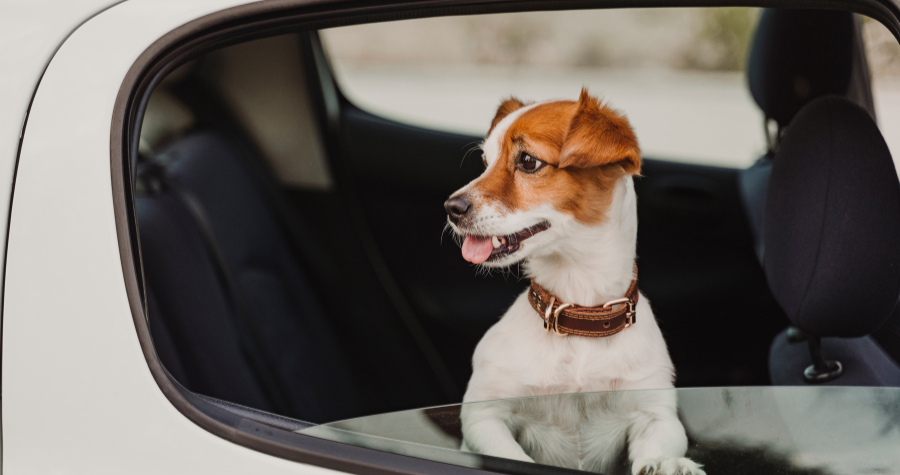 Design sem nome 13 1