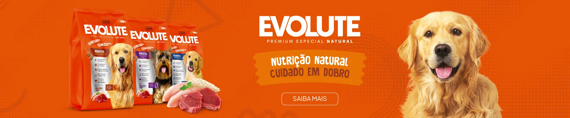 Evolute