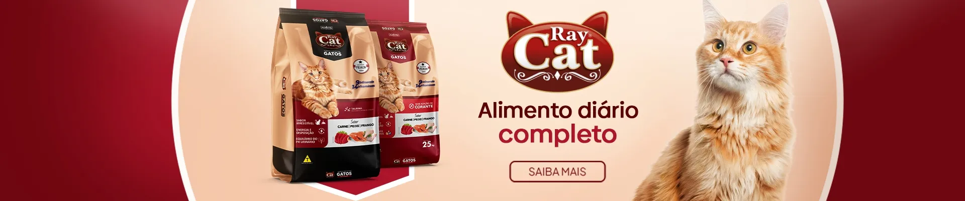 Raycar