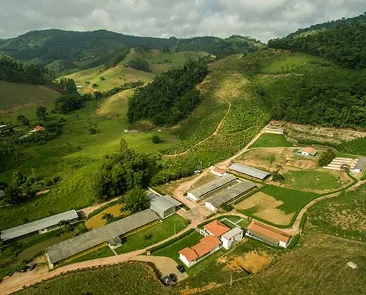 CENTRO DE TECNOLOGIA ANIMAL (CTA)